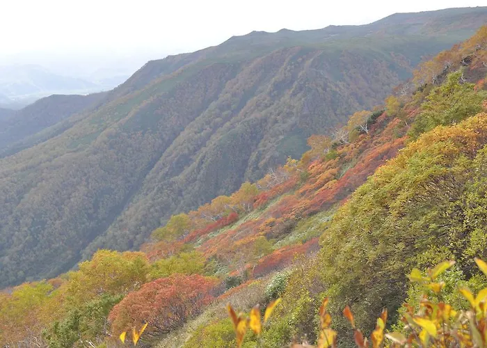 Yumoto Ginsenkaku