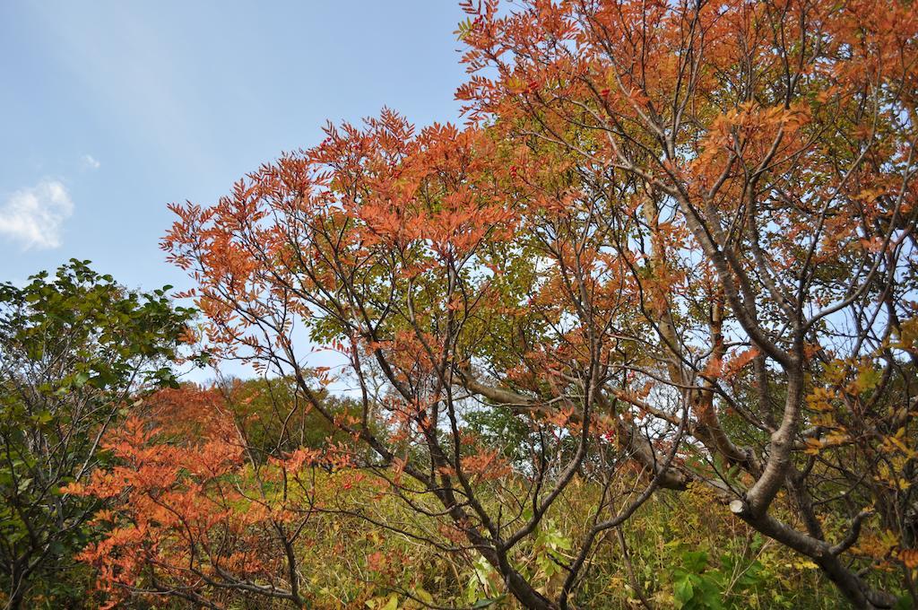 Yumoto Ginsenkaku Kamikawa (Hokkaido)